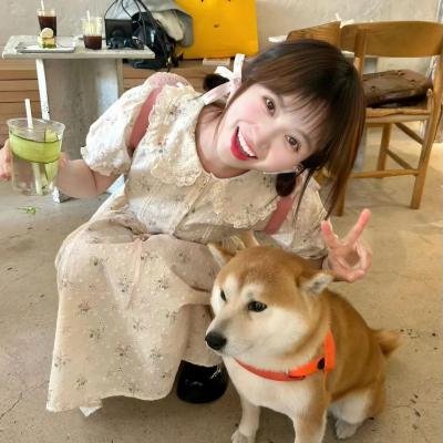 夏日啰啰挛